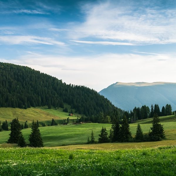 Green rolling hills with scattered trees, mountain slopes in the background, and a partly cloudy blue sky above. Several small cabins are visible in the grassy landscape. | outdoorsurvivors.com Green rolling hills with scattered trees, mountain slopes in the background, and a partly cloudy blue sky above Several small cabins are visible in the grassy landscape | outdoorsurvivors com