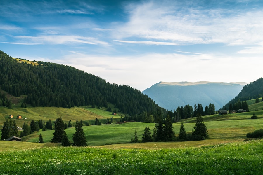 Green rolling hills with scattered trees, mountain slopes in the background, and a partly cloudy blue sky above Several small cabins are visible in the grassy landscape | outdoorsurvivors com