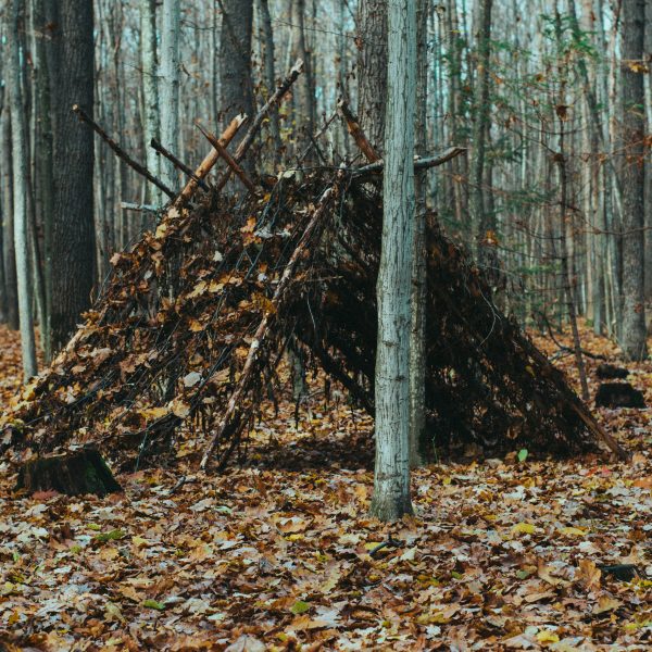 A makeshift A-frame shelter constructed of branches and fallen leaves in a forest. | outdoorsurvivors.com A makeshift A frame shelter constructed of branches and fallen leaves in a forest | outdoorsurvivors com